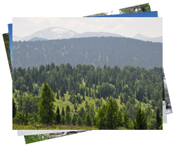 ���������� ���������� ���������