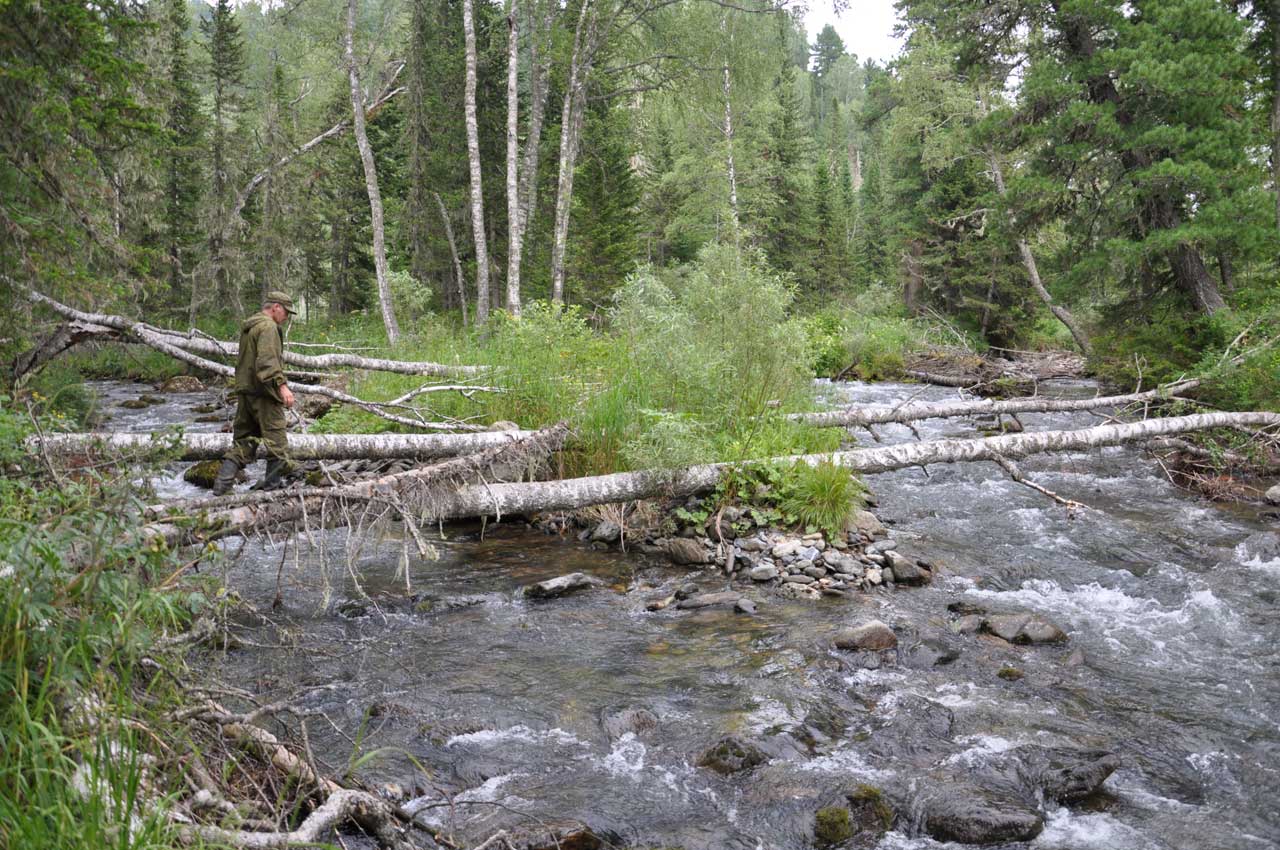 ����� ���� ��������� � �.���������.