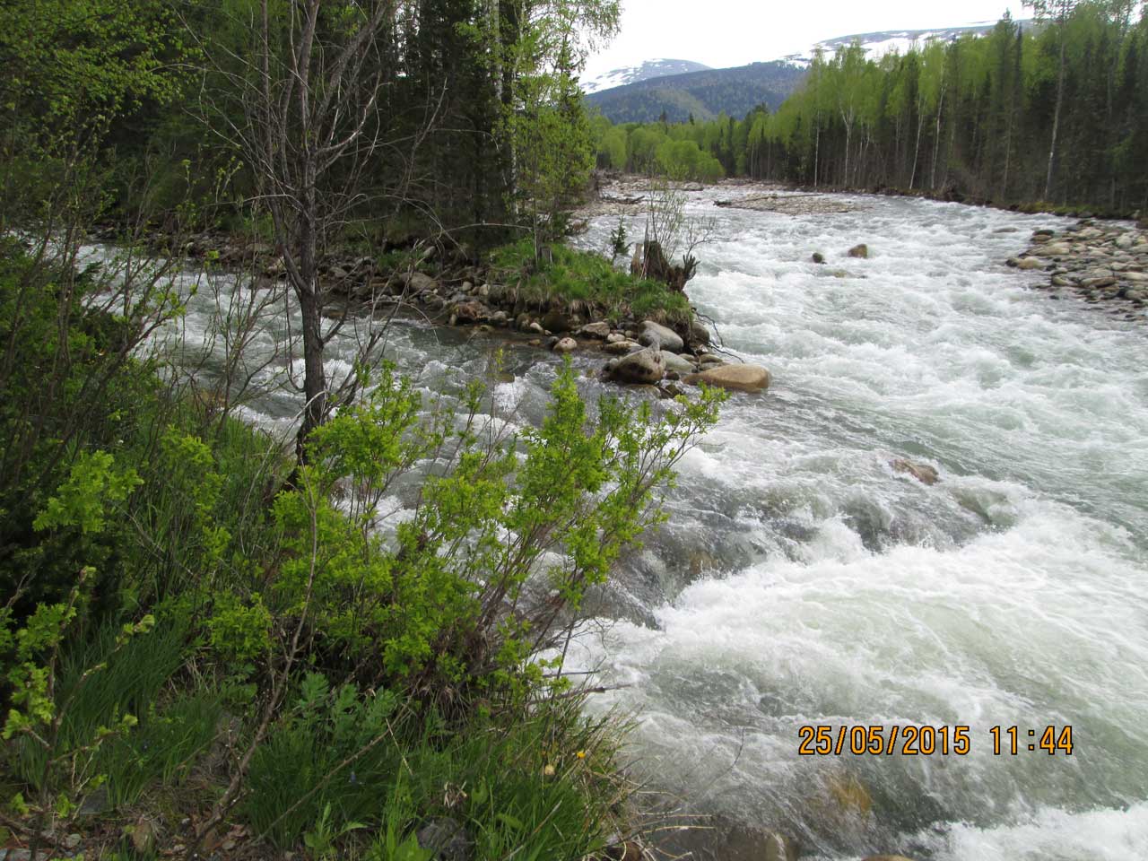 ����� ������� ��� ��� � ���������.