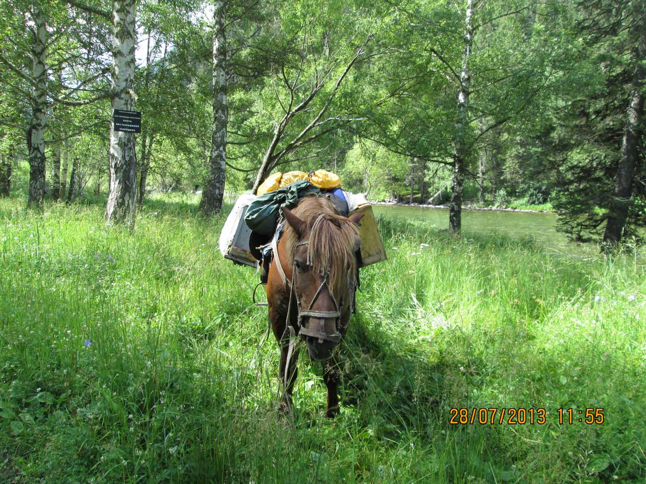 �� ������.