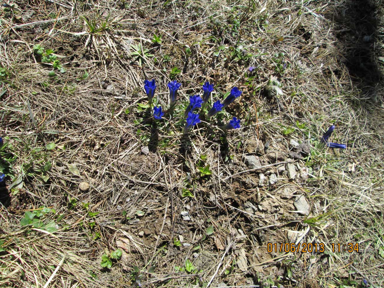 ��������� ���������������.