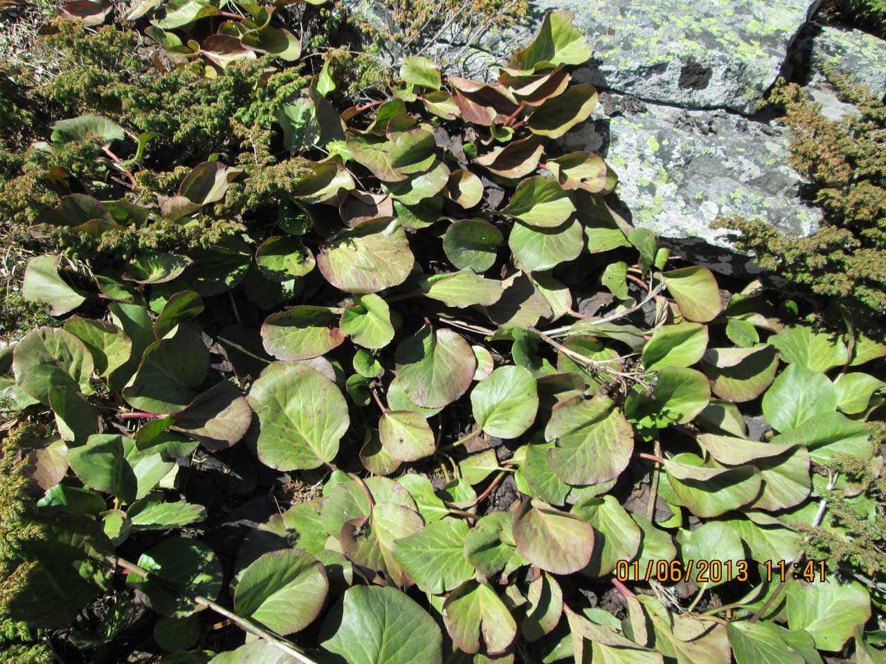 ����� �������������.