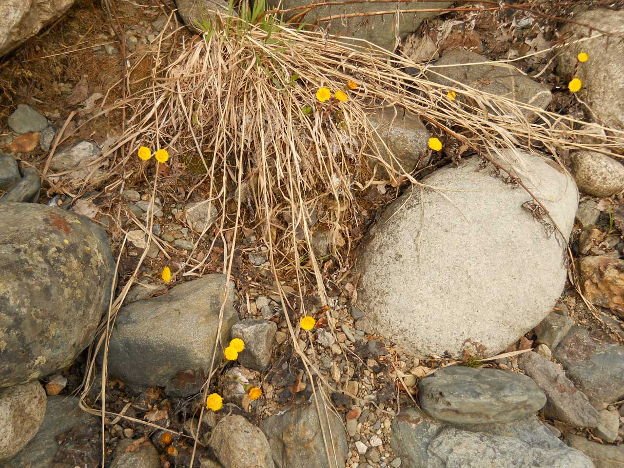 ���� � ������ - ���������.